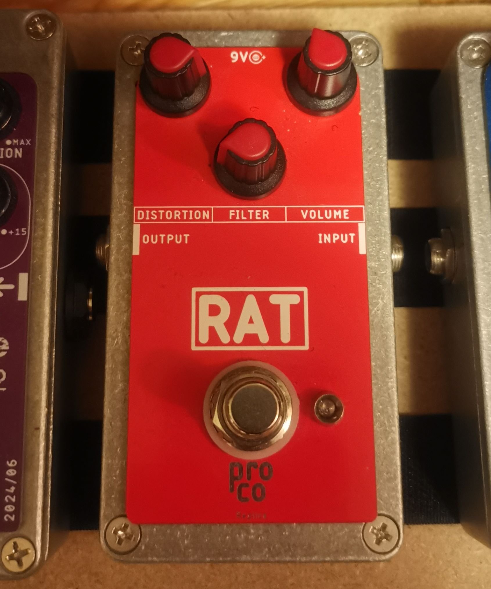 RAT.jpg