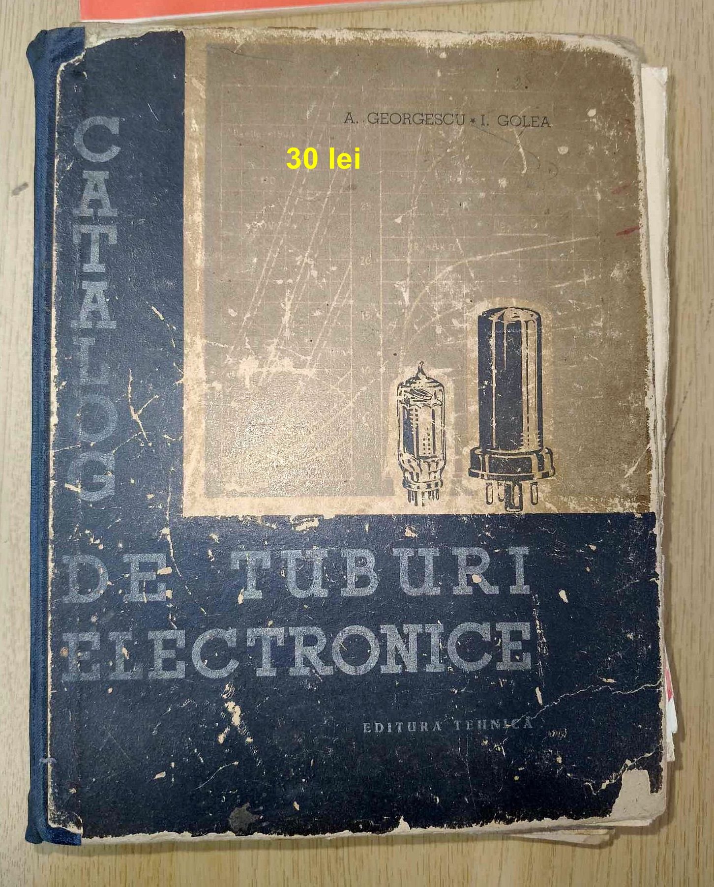 06.jpg